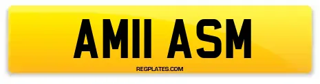 AM11 ASM