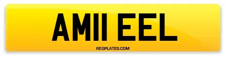 AM11 EEL