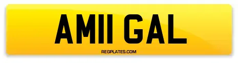 AM11 GAL