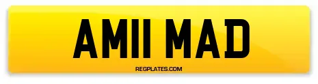 AM11 MAD