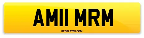 AM11 MRM
