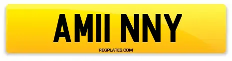 AM11 NNY