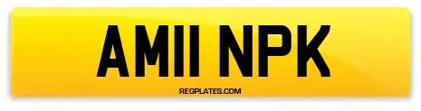 AM11 NPK