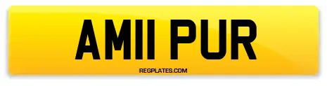 AM11 PUR