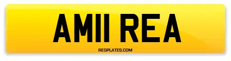 AM11 REA