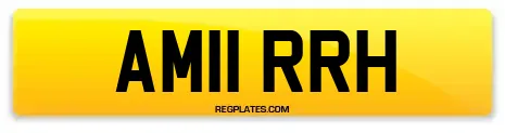 AM11 RRH
