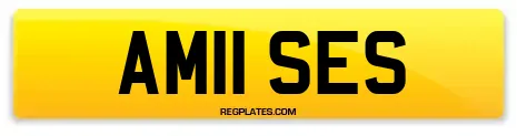 AM11 SES