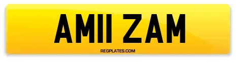 AM11 ZAM