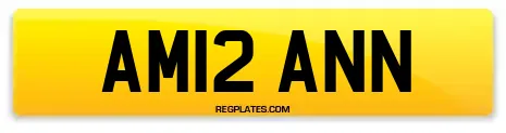 AM12 ANN