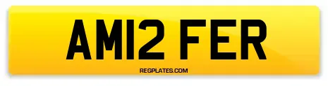AM12 FER