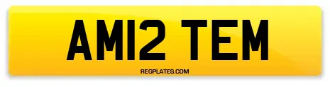 AM12 TEM