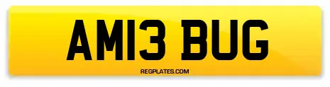 AM13 BUG