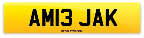 AM13 JAK