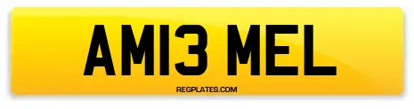AM13 MEL