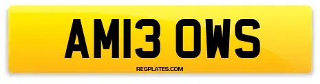 AM13 OWS