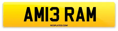 AM13 RAM
