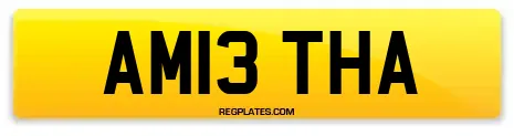 AM13 THA