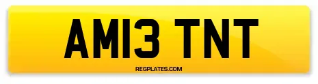AM13 TNT