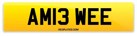 AM13 WEE