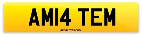 AM14 TEM