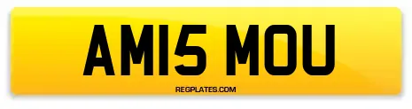 AM15 MOU