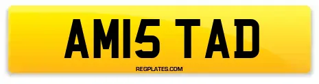 AM15 TAD