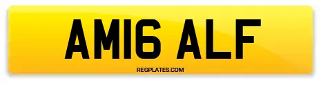 AM16 ALF