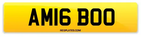 AM16 BOO