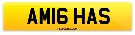 AM16 HAS