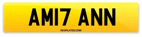 AM17 ANN