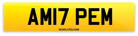 AM17 PEM