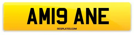 AM19 ANE