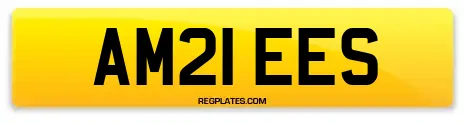 AM21 EES