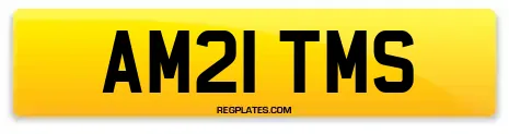 AM21 TMS