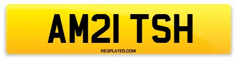 AM21 TSH