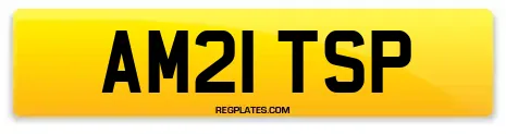 AM21 TSP