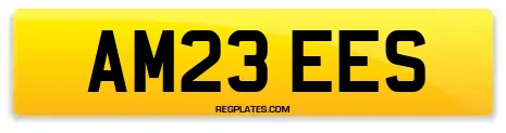 AM23 EES