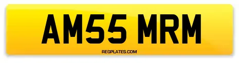 AM55 MRM