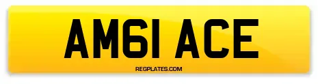 AM61 ACE