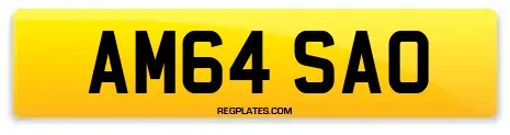 AM64 SAO