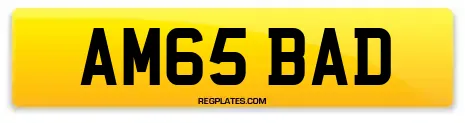 AM65 BAD