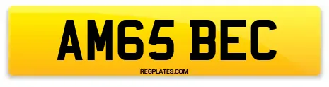 AM65 BEC
