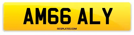 AM66 ALY