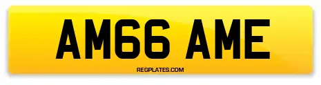 AM66 AME