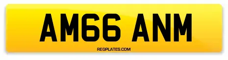 AM66 ANM