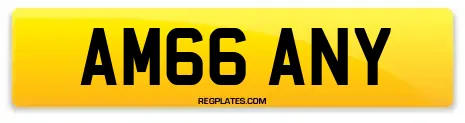 AM66 ANY
