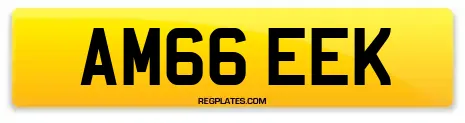 AM66 EEK