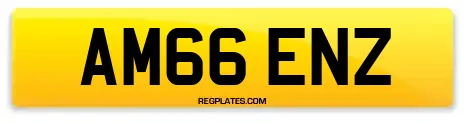 AM66 ENZ