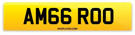 AM66 ROO
