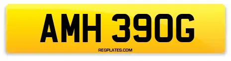 AMH 390G